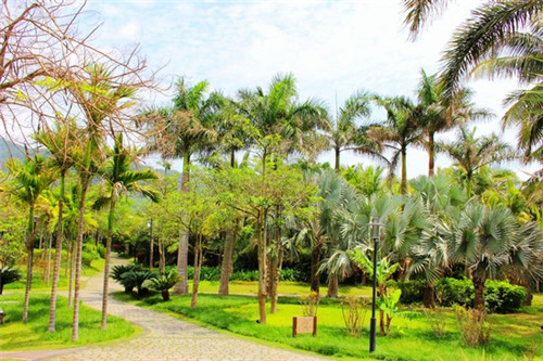 爱尚焖小猪焖饭