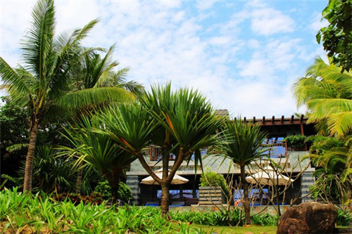 刘一锅铁锅焖面