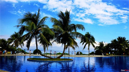 一峰哥秘制小甲鱼