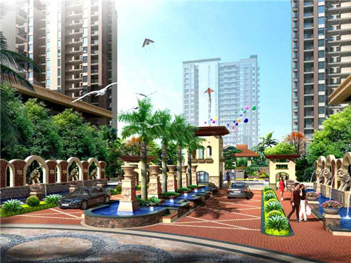 斗枪鱼的正宗做法（斗枪鱼的正宗做法图片）