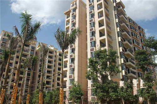 两侧拉链护理裤（两侧拉链运动裤）