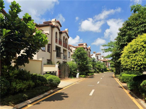 茶叶农场起名怎么起的好（茶叶厂取名）