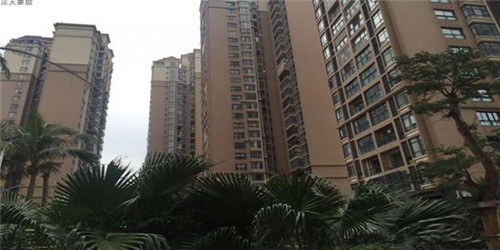 世界十大贵茶是什么茶树（世界最贵茶十大排行多少钱）